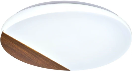 000025664 Настенно-потолочный светильник Мелодия Света CW1L 000025664