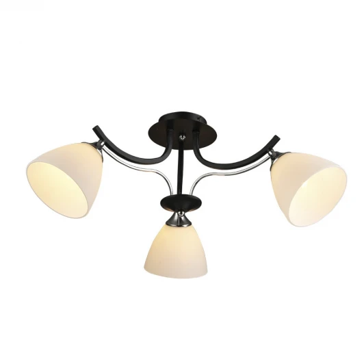 66381.01.13.03 Потолочная люстра Wedo Light Kristian 66381.01.13.03