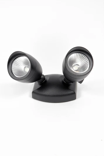 W6219A Прожектор уличный Oasis Light W6219A