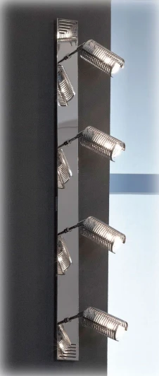 LSL-5609-04 Настенно-потолочный светильник Lussole Carpenara LSL-5609-04