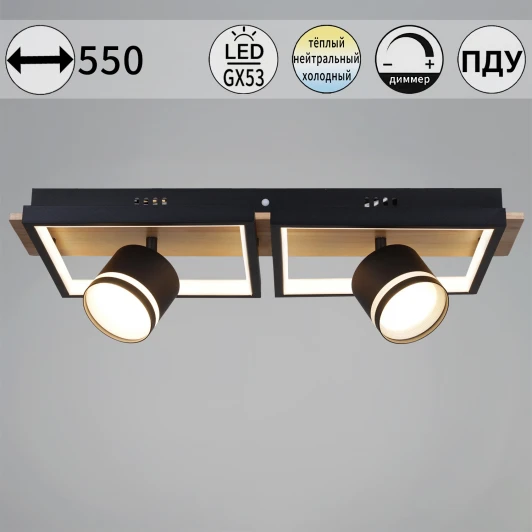 19560-0.3-2+2 BK+WOOD Потолочная люстра с пультом с регулировкой цветовой температуры, яркости и ночным режимом Reluce 19560-0.3-2+2 BK+WOOD