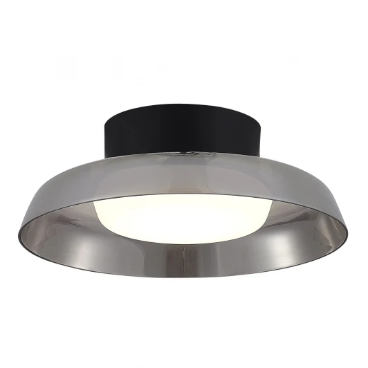 SL6019.412.01 Потолочный светильник светодиодный ST Luce Foray SL6019.412.01 Черный/Дымчатый, Белый LED 1*36W 3000K