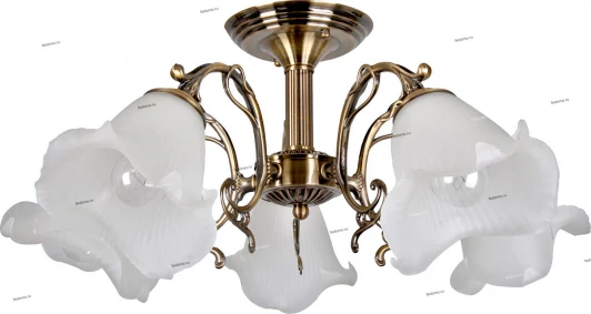 010/5P Myone 010 010/5P