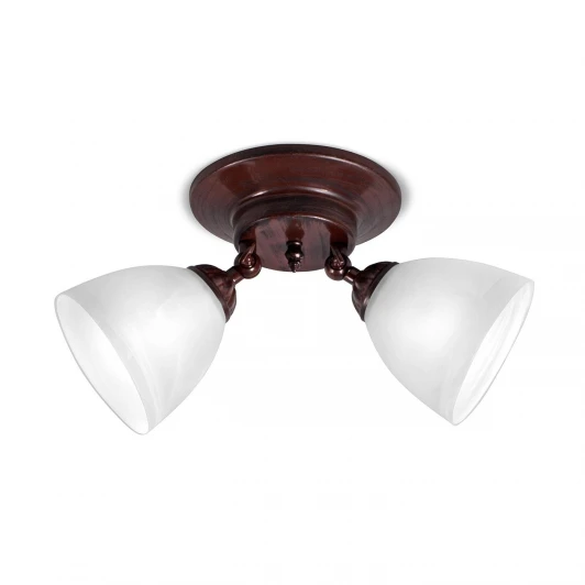 S9159-2 Спот Day&Night, 2 плафона, коричневый с белым