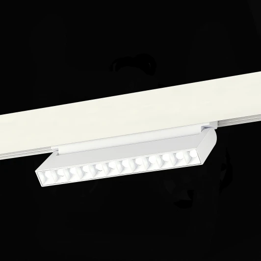 ST372.506.12 Трековый светильник Downlight магнитный 48V ST Luce Skyline 48 ST372.506.12 (LED)