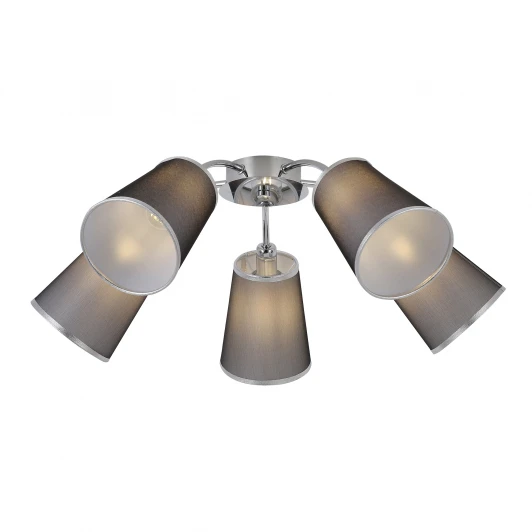 SLE103002-05 Потолочная люстра Evoluce Maleonte SLE103002-05