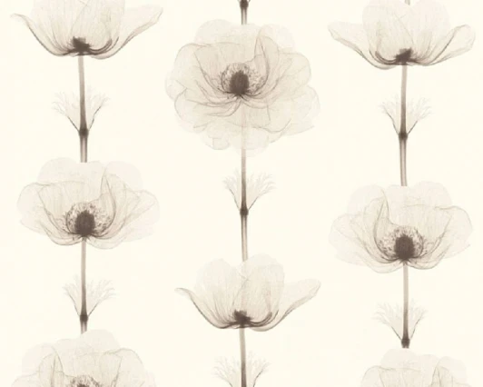 34273-2 Обои виниловые A.S. Creation X-Ray 34273-2 10,05 x 0,53 м