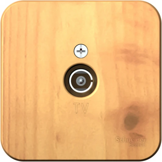 BLNTA000015 ТВ-розетка накладная оконечная (ясень) Systeme Electric Blanca BLNTA000015
