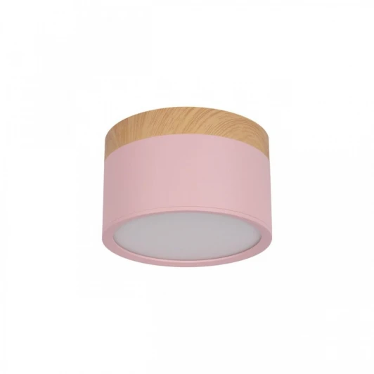 10162 Pink Накладной светильник Grape 10162 Pink (LED, 220V, круглые)