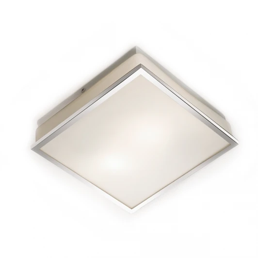 2537/2C Настенно-потолочный светильник Odeon Light Tela 2537/2C