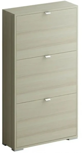 332394 Шкаф для обуви Reggy 3 ОГОГО 332394