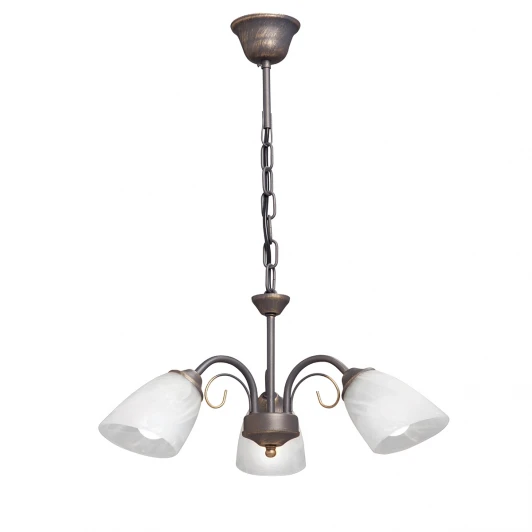 V3197/3 Потолочная люстра Vitaluce V3197/3 (220V)