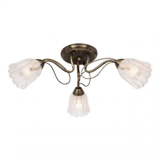 504.53.3 Потолочная люстра Silver Light Azalea 504.53.3