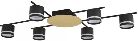 8304/6C Потолочная люстра на штанге Lumion Benua 8304/6C золотой/черный, металл/акрил GX53 LED 6*7W 220V