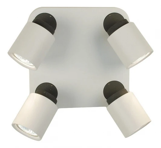 CL533541 Спот Citilux Norman CL533541