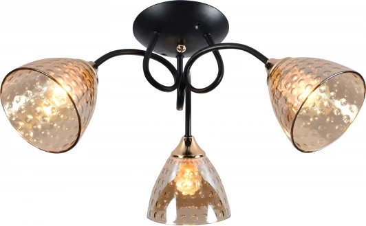 9095-303 Потолочная люстра Rivoli Emilia 9095-303