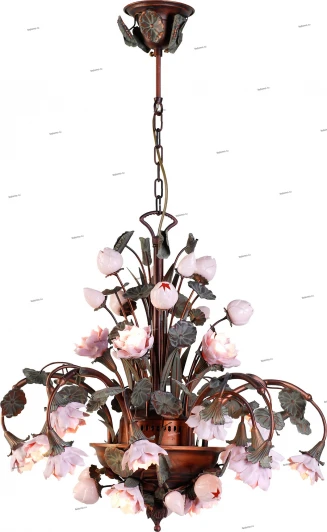 0800086/23P Adelluce 0800086 0800086/23P