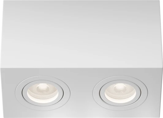 C017CL-02W Потолочный светильник Atom GU10 2x50Вт Maytoni Technical C017CL-02W (220V)