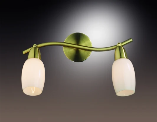 2067/2W Спот Odeon Light Otta 2067/2W