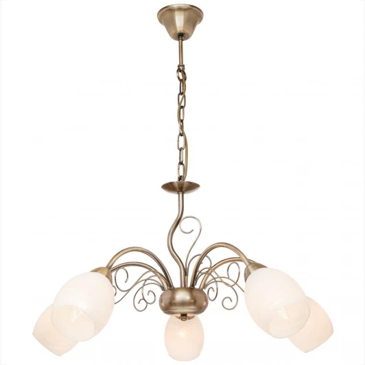 139.53.5 Подвесная люстра Silver Light Aimi 139.53.5