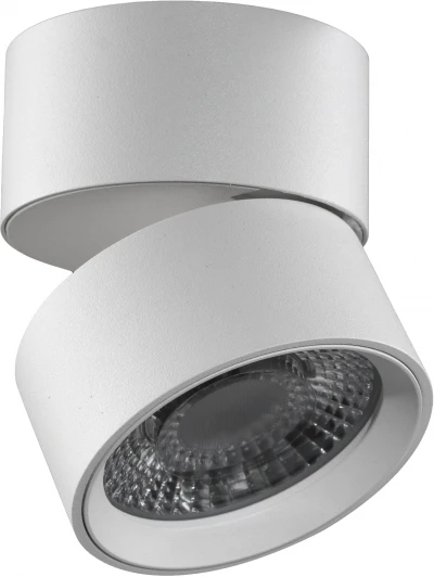 R-SSF-WH-WW-DIM Точечный светильник накладной Lumker RINK R-SSF-WH-WW-DIM (LED, 220V, круглые, IP44)