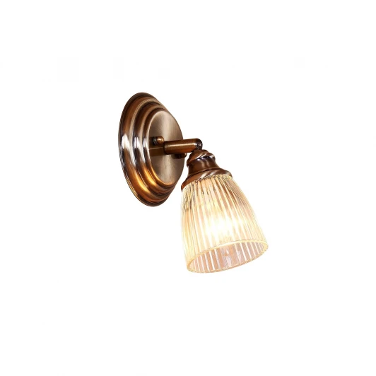 CL539511 Спот Citilux Виндзор CL539511