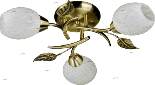 038/3PL Myone 038 038/3PL