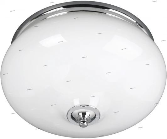 32026-11-10 Massive Brenna 32026-11-10