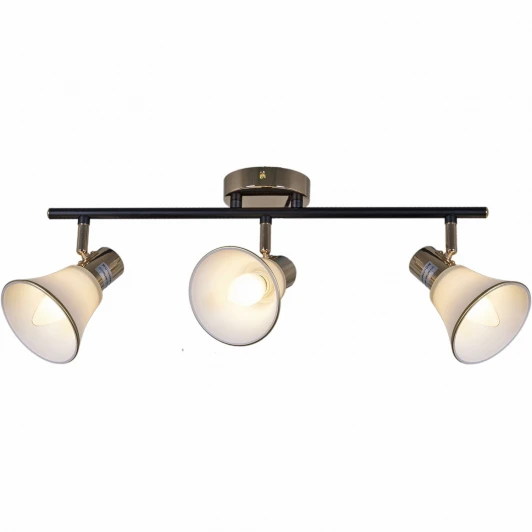 05901-0.8-03 BK+FGD Спот на штанге Reluce 05901-0.8-03 BK+FGD