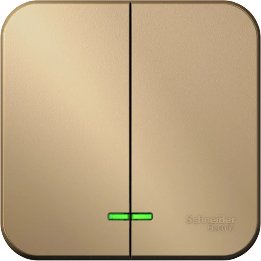 BLNVA105104 Выключатель накладной двухклавишный с подсветкой (титан) Systeme Electric Blanca BLNVA105104