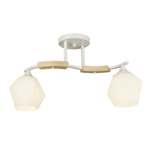 66587.01.09.02 Потолочная люстра Wedo Light Lalio 66587.01.09.02