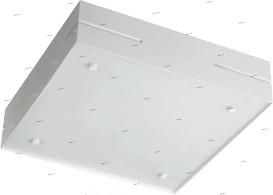 30194-31-10 Massive Adriana 30194-31-10