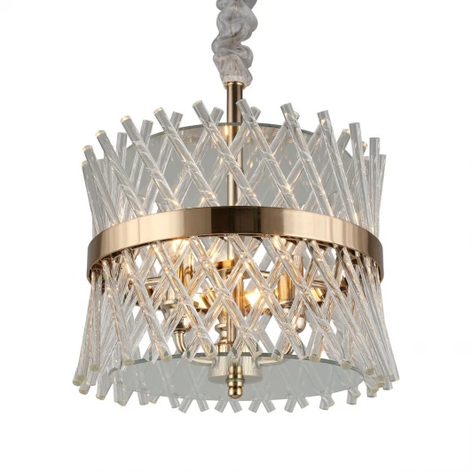 APL.734.06.03 Подвесная люстра Aployt Toinet APL.734.06.03 (220V, на цепи, круглые)