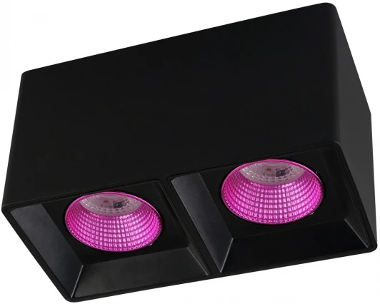 DK3085-BK+PI Накладной точечный светильник Denkirs DK3085-BK+PI