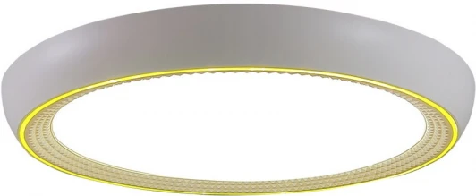 48019.50.90.77GD Потолочный светильник Seven Fires Санни 48019.50.90.77GD