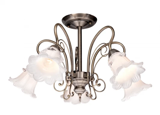 510.53.5 Потолочная люстра Silver Light Tenderness 510.53.5