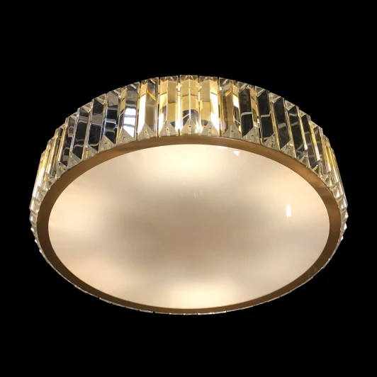 10589 Потолочный светильник Agrius 10589