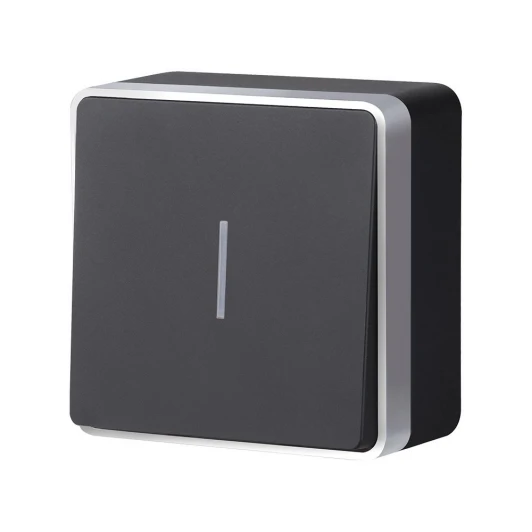 W5010134 Выключатель одноклавишный с подсветкой Gallant Werkel W5010134 (черный с серебром)