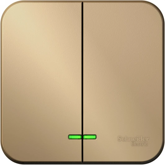 BLNVA105004 Выключатель накладной двухклавишный (титан) Systeme Electric Blanca BLNVA105004