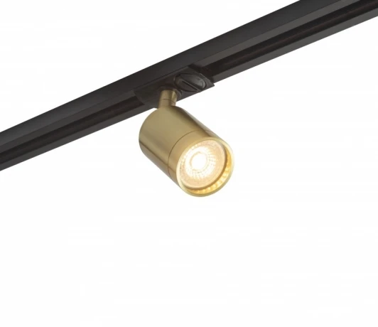 DK6201-BS Трековый светильник Denkirs DK620 DK6201-BS