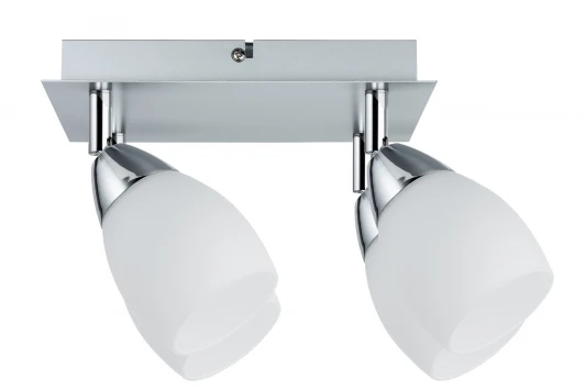 60266 Спот Paulmann Wolba 60266