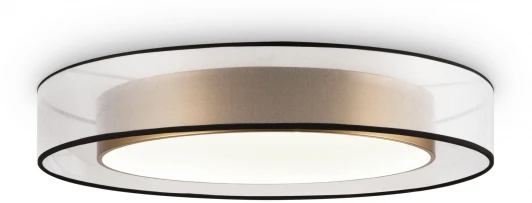 FR6005CL-L48G Потолочный светильник круглый Freya Zoticus FR6005CL-L48G (LED, 220V, круглые)
