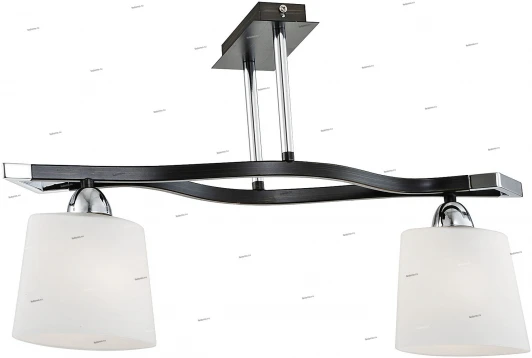 2300017/2C Snowlight 2300017 2300017/2C