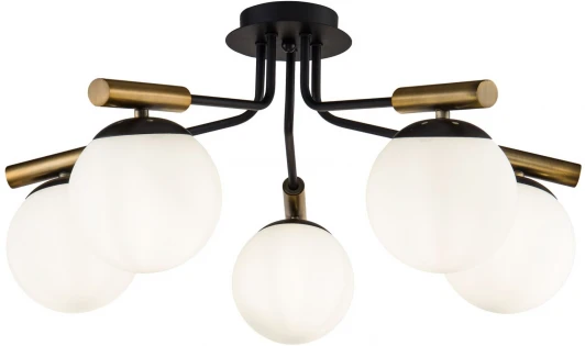 FR5011CL-05B Потолочная люстра Freya Paolina FR5011CL-05B (220V, шарики)