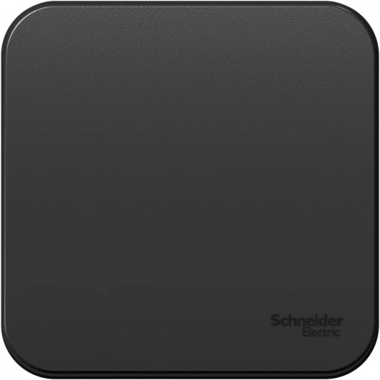 BLNVA101006 Выключатель накладной одноклавишный (антрацит) Systeme Electric Blanca BLNVA101006