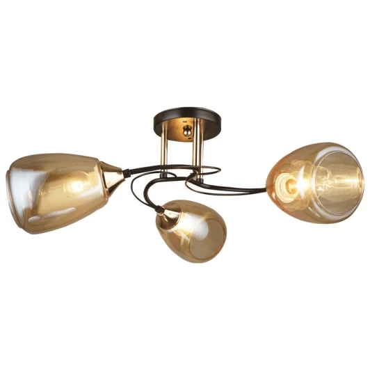 66267.01.69.03 Потолочная люстра Wedo Light Sabato 66267.01.69.03