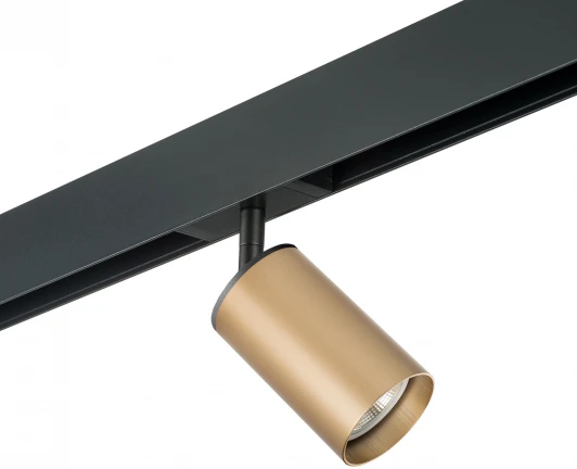 PRO440 Трековый светильник однофазный 220V Lightstar Rullo PRO440 (круглые)