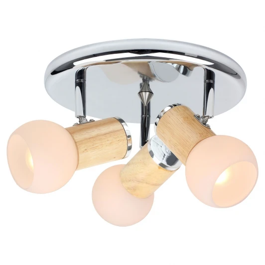 LSN-6007-03 Спот Lussole Saltara LSN-6007-03