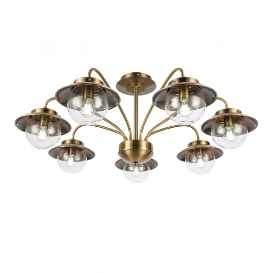 SLE110102-07 Потолочная люстра на штанге Evoluce Garonni SLE110102-07 (220V, шарики)