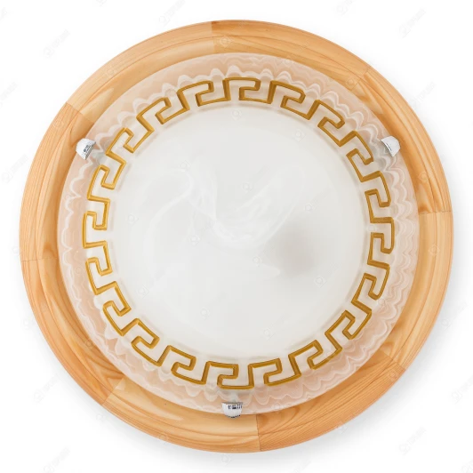 TL9173Y-02PN Настенно-потолочный светильник Toplight Gien TL9173Y-02PN